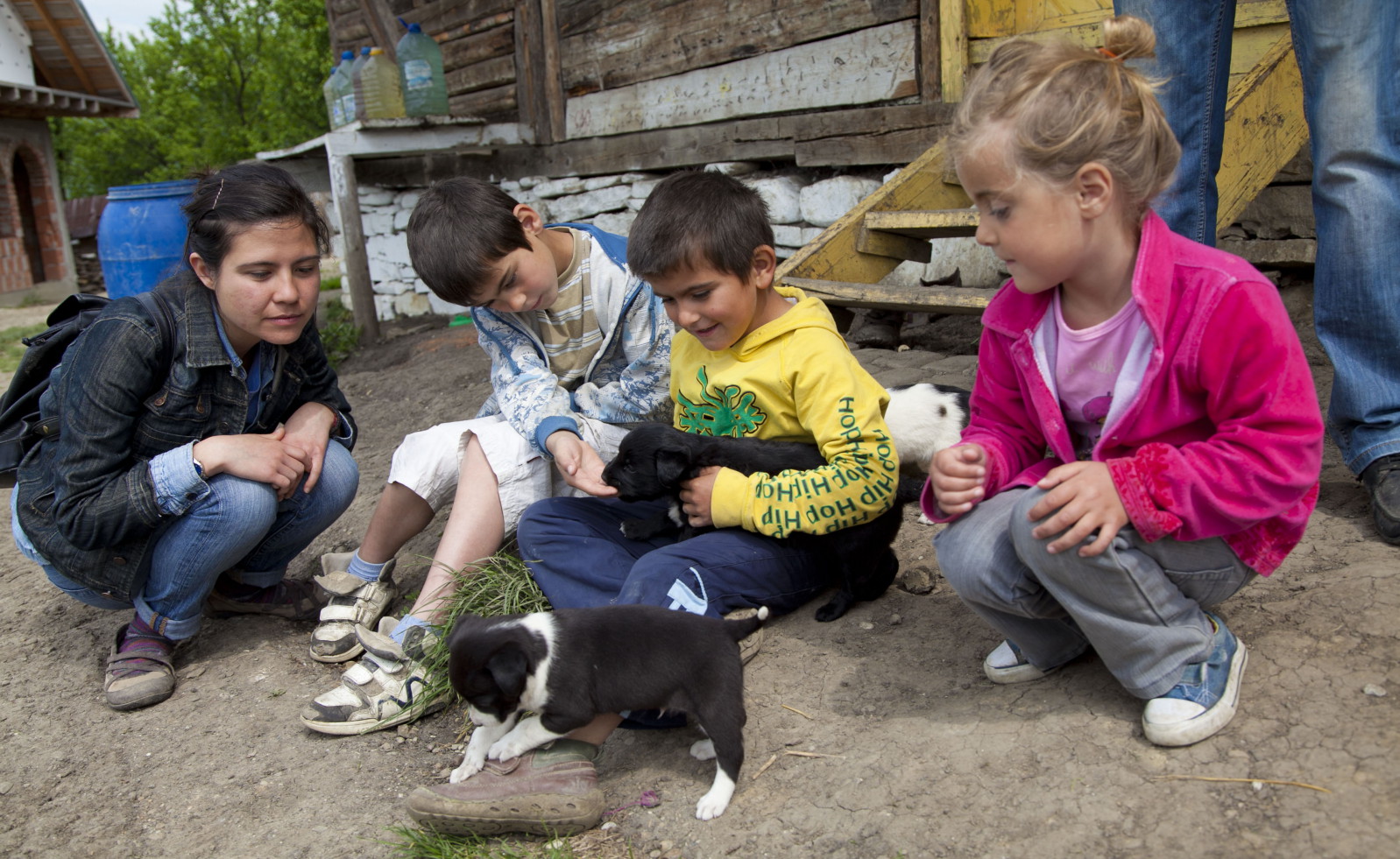 Valea Screzii Camp