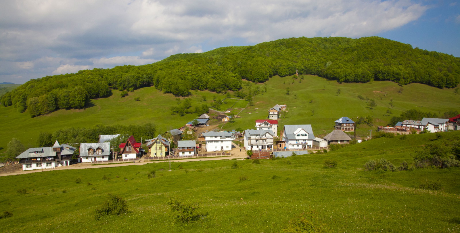 Valea Screzii Camp